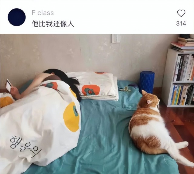 猫和主人呆久了，会越来越像，这居然是真的！