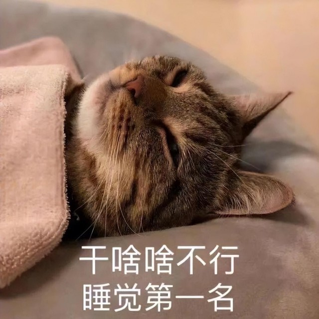 猫幸福地生活着，会有这7种睡姿，显然是藏不住的