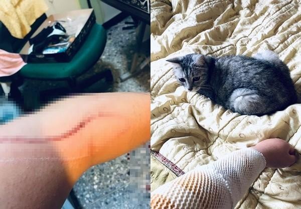 猫咪打喷嚏突然露出绿色鼻毛主人抽出后感叹：好长！