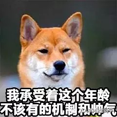 养柴犬到底好不好